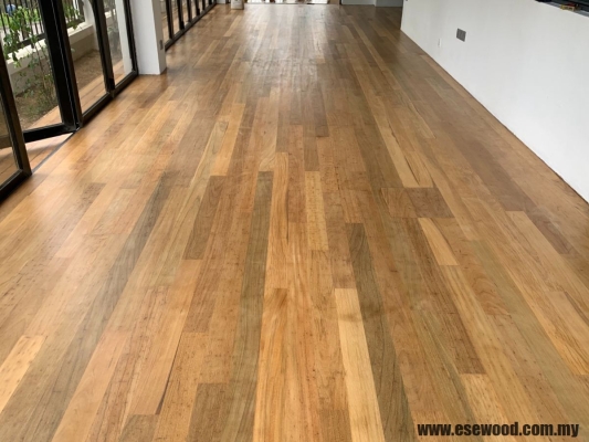 Merbau Solid Timber Flooring - Johor Bahru Molek