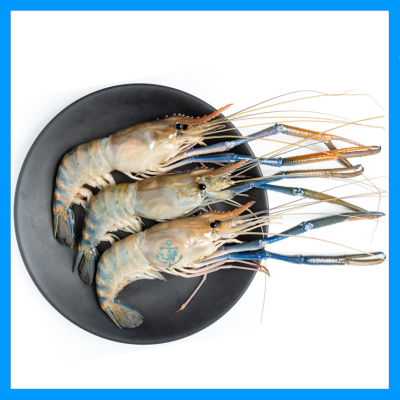 Freshwater Prawn (Scampi)