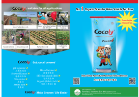 COCOLY BROCHURE 2022