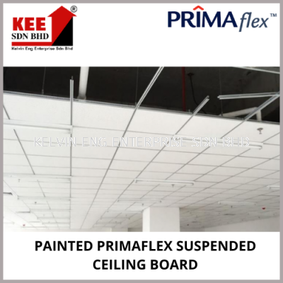 PAINTED PRIMAFLEX SUSPENDED CEILING BOARD