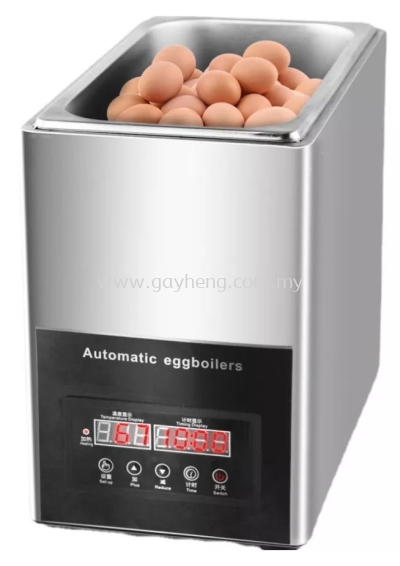 Stainless Steel Egg Boiler Machine Half Boiled Egg 쵰