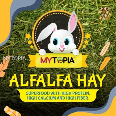 MYTOPIA  ALFALFA 500G