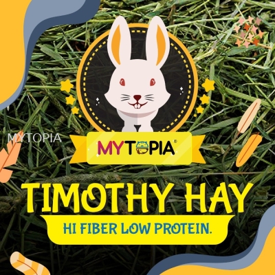 MYTOPIA TIMOTHY HAY 500G