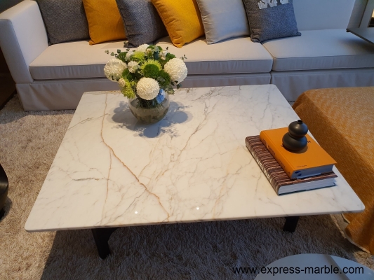 Marble / Stone Coffee Table Reference