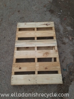 Pallet Pine B