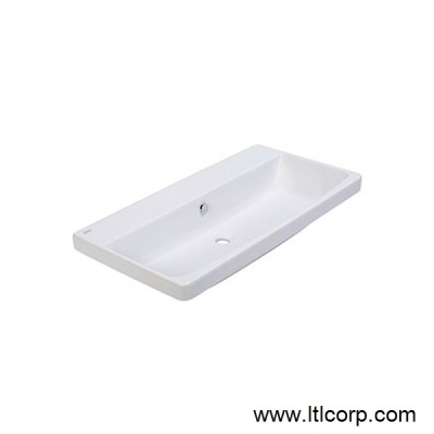 CCASF521 Fecility Double Countertop Lava Wash Basin