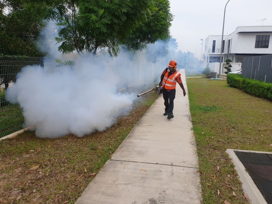 Kawalan Nyamuk Serangga Perosak