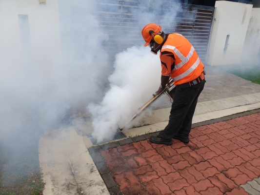 Kawalan Nyamuk Serangga Perosak