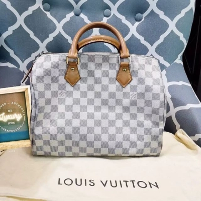 LV Speedy 30 Damier