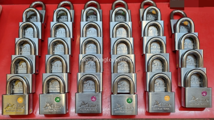 Aline 50mm master key pad lock