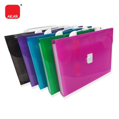 Expanding File 12 Pockets / A4 Expandable File Folder Ice Colour 12 Pockets