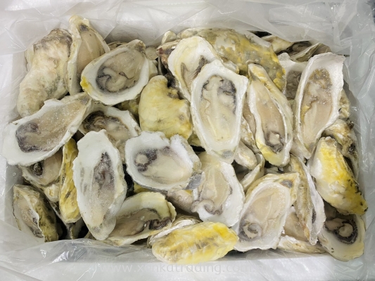 XK628 Frozen Half Shell Oyster (Sashimi Grade)