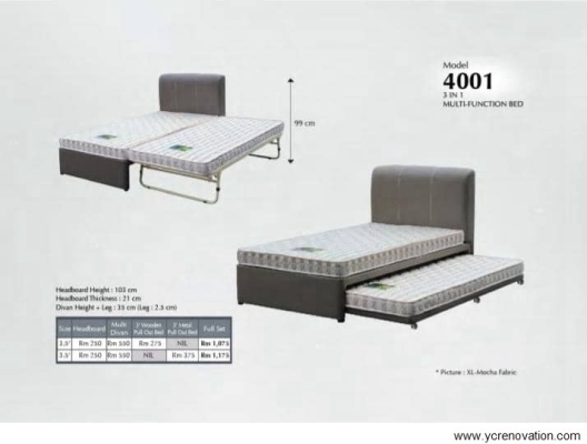 Pull Out Bed - 4001