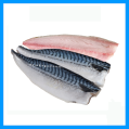 Premium Blue Saba Mackerel Fillet