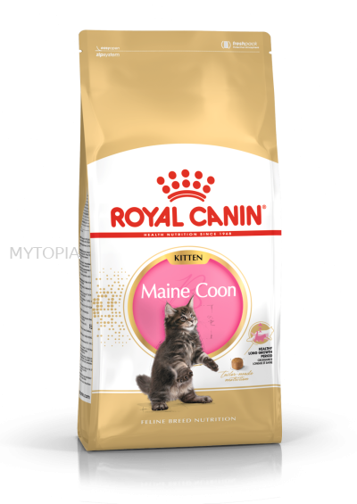 ROYAL CANIN MAINE COON KITTEN 4KG