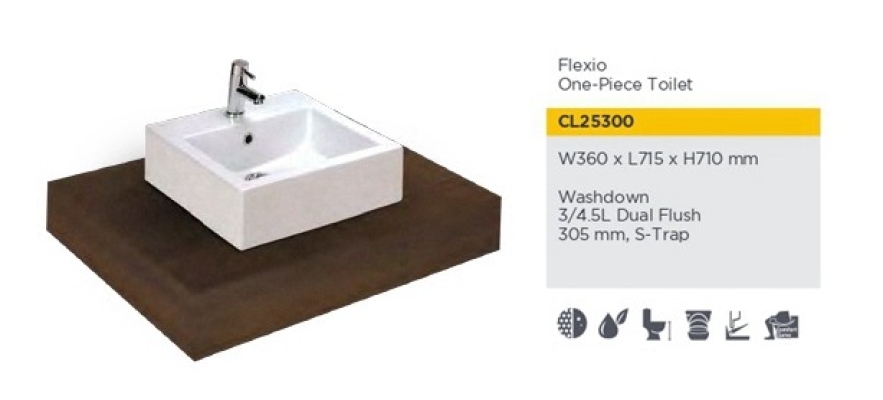 Counter Top Wash Basin - CL25300