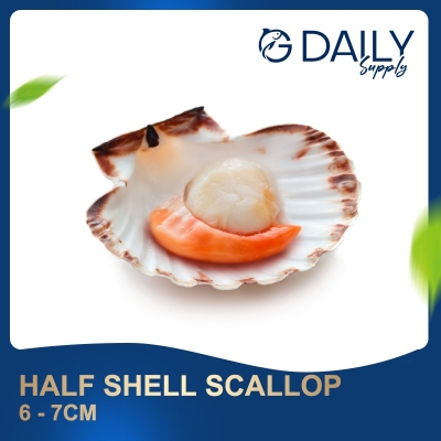 Half Shell Scallop 6-7cm