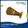 Slipper Lobster 80/130 Crab / Prawn