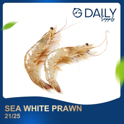 Sea White Prawn 21/25