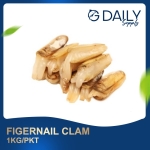 Figernail Clam