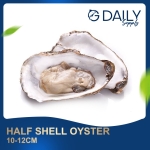 Half Shell Oyster 10-12cm