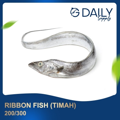 Ribbon Fish 200/300 (Timah)