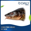 Cod Fish Head Fish