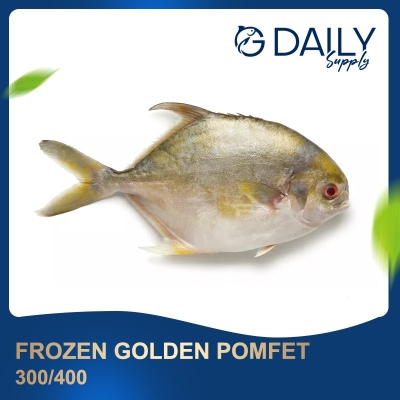 Frozen Golden Pomfet 300/400