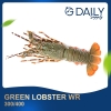 Green Lobster WR Crab / Prawn