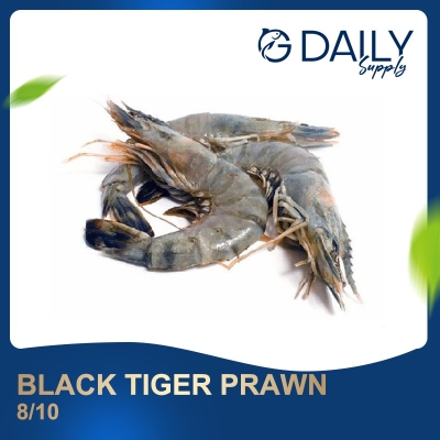 Black Tiger Prawn 8/10