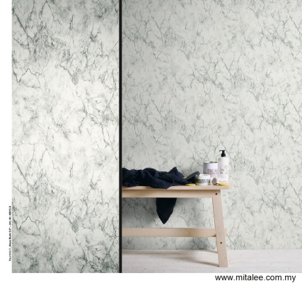 European Wallpaper Model: AS469128