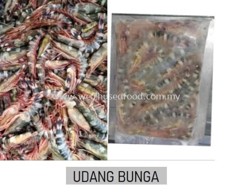 Udang Bunga