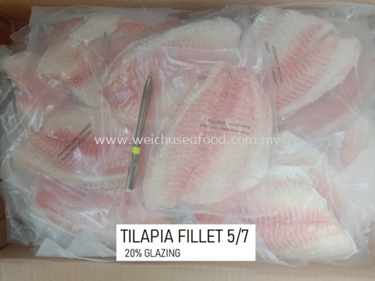 Tilapia Fillet 5/7 (20% Glazing)