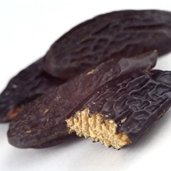 Tonka Bean 10% in DPG