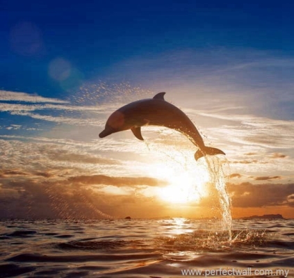 Artistic Mural Wallpaper - Dolphin