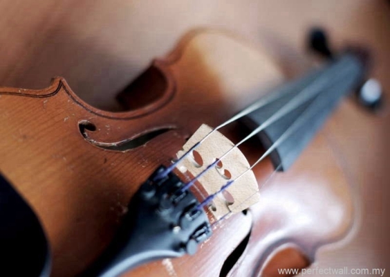 Artistic Mural Wallpaper - Violin 