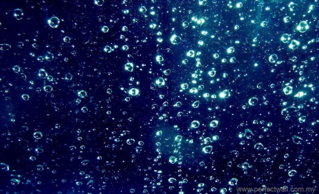 Natural Element Wallpaper - Bubble