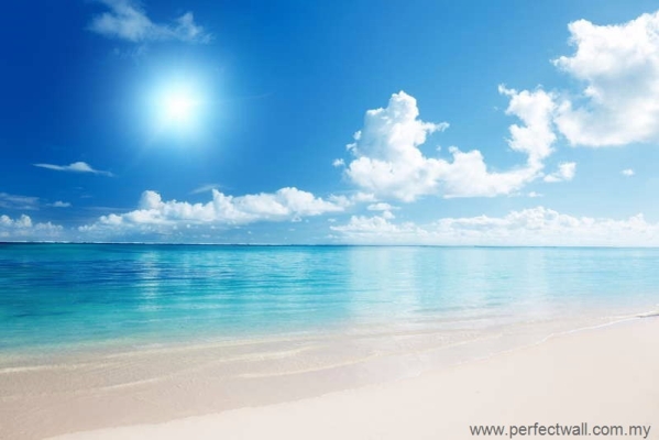 Natural Element Wallpaper - Beach & Sun