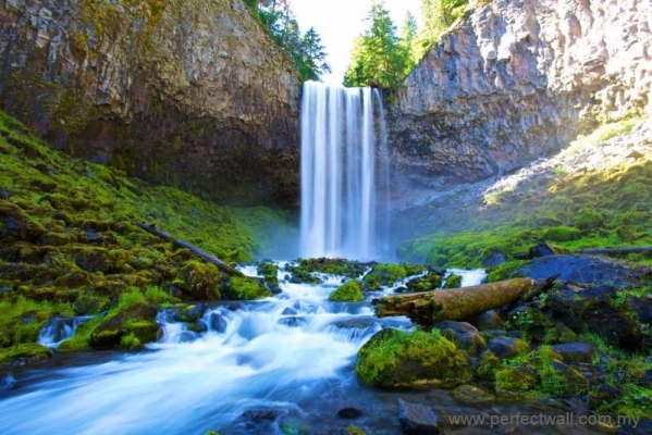 Landscape Mural Wallpaper - White River Falls State Park