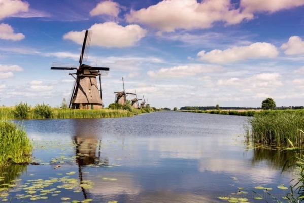 Landscape Mural Wallpaper - Dutch Windmill