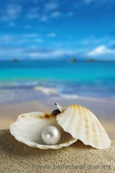 Landscape Mural Wallpaper - Pearl Clam & Beach