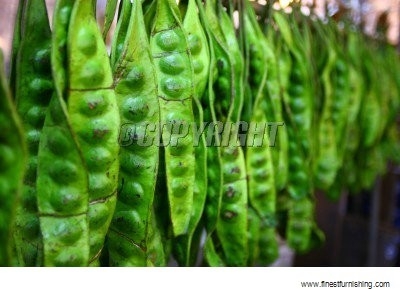 Hourhome Foods Wallpaper : Parkia Speciosa #8043590