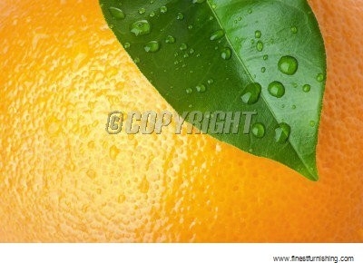 Hourhome Foods Wallpaper : Lemon #8640709