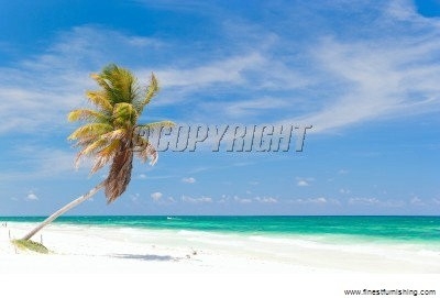 Hourhome Tropical Wallpaper : 10200856