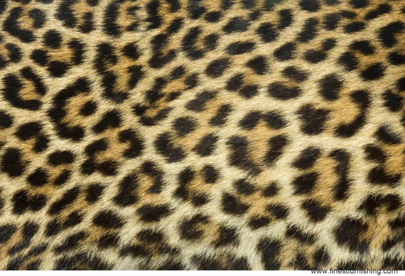 Animal Skin Series Wallpaper: Leopard Print #WL001