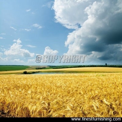 Natural Scenery Mural Wallpaper : Wheat Fields