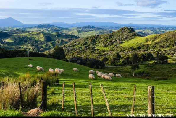 Natural Scenery Mural Wallpaper : Pasture