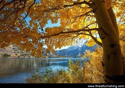 Natural Scenery Mural Wallpaper : Autumn Lake