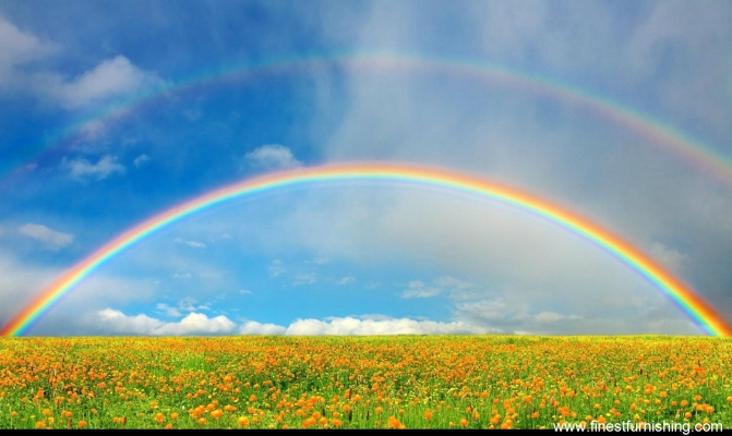 Natural Scenery Mural Wallpaper : Yellow Flowerbed & Rainbow