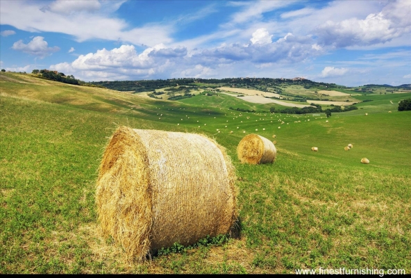 Natural Scenery Mural Wallpaper : Paddy Straw Bale